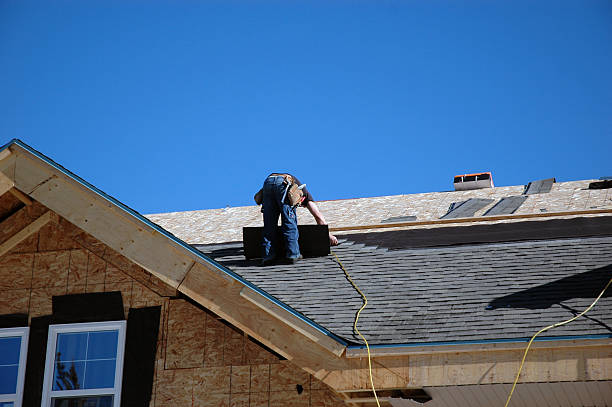 Best Roof Gutter Cleaning  in Reston, VA